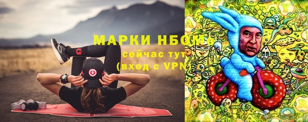 ECSTASY Алзамай