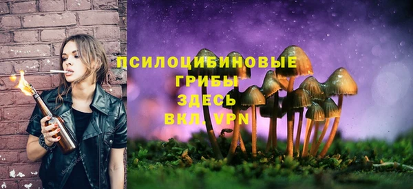 МДМА Абаза