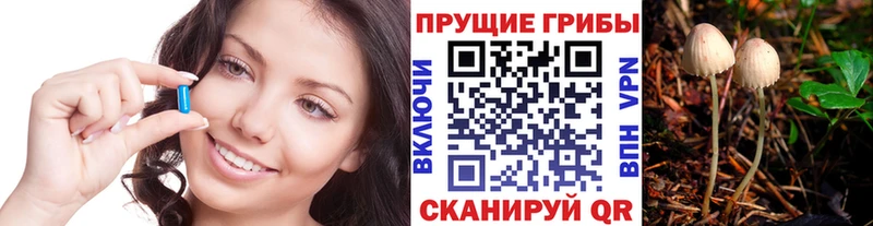 Галлюциногенные грибы GOLDEN TEACHER  Ржев 